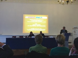 Global China Dialogue